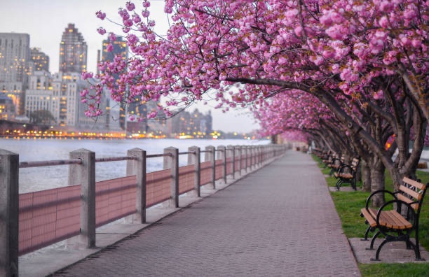 best spring month to visit new york